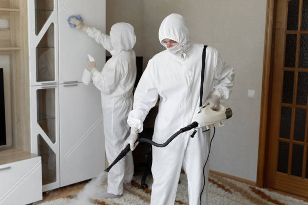 Best Crawl Space Mold Removal  in Princeton Meadows, NJ