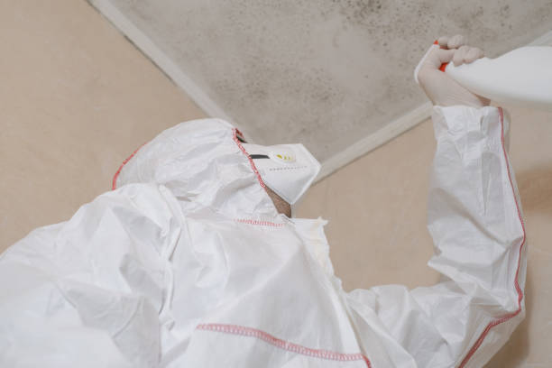 Best Toxic Mold Removal  in Princeton Meadows, NJ