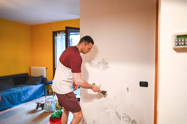 Best Commercial Mold Removal  in Princeton Meadows, NJ